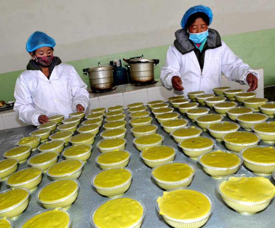 西藏農(nóng)牧民增收從單一農(nóng)牧業(yè)走向多元