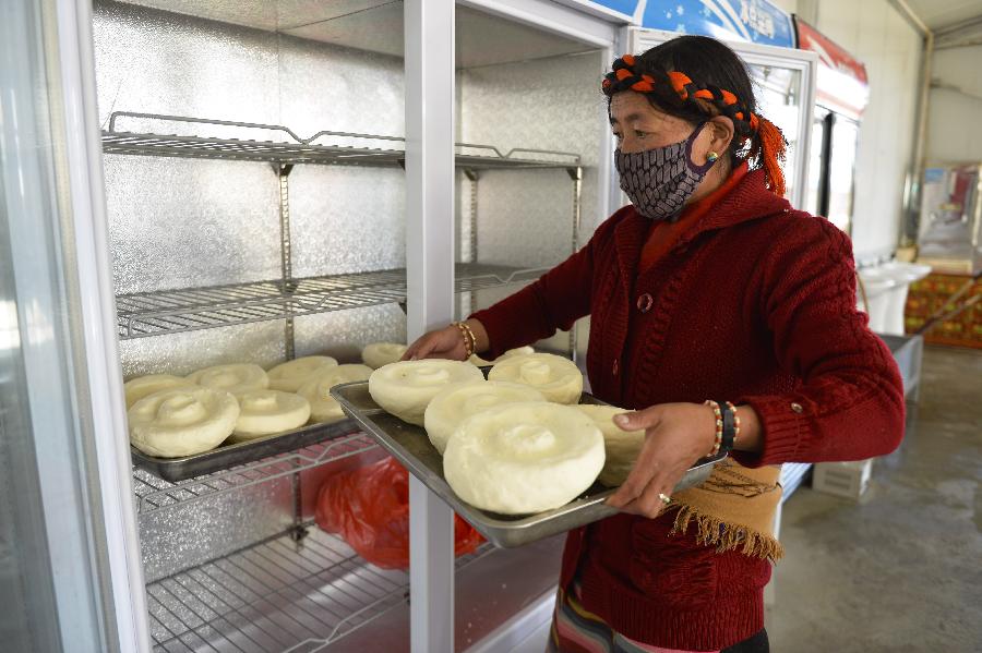 西藏農牧民增收從單一農牧業走向多元