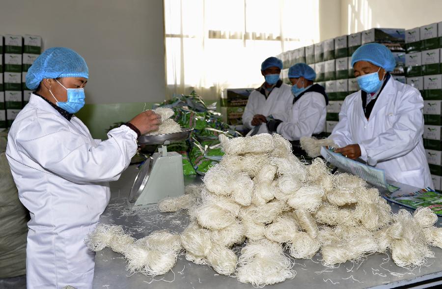 西藏農牧民增收從單一農牧業走向多元