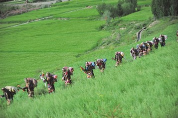 山南市瓊結縣村民喜迎望果節(jié)