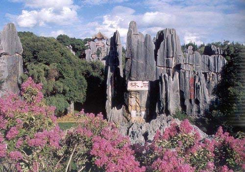 春節：游不一樣的云南　體驗別樣民族風情（圖）