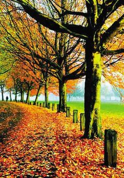 2011上班族年假大計(jì)劃 讓旅行再幸福一點(diǎn)