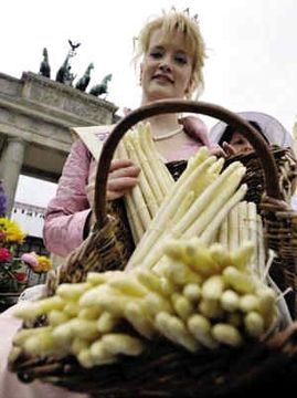 2011上班族年假大計(jì)劃　讓旅行再幸福一點(diǎn)