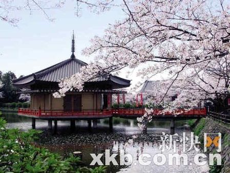 2011上班族年假大計劃 讓旅行再幸福一點