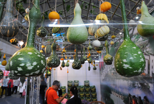 昆明舉辦泛亞國際農(nóng)業(yè)博覽會 無公害瓜果蔬菜受青睞