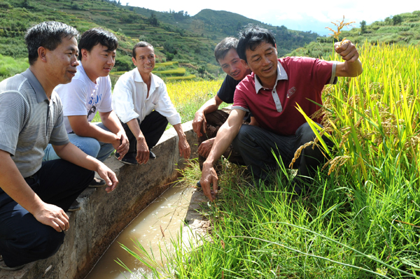 彝鄉抗旱奪豐收