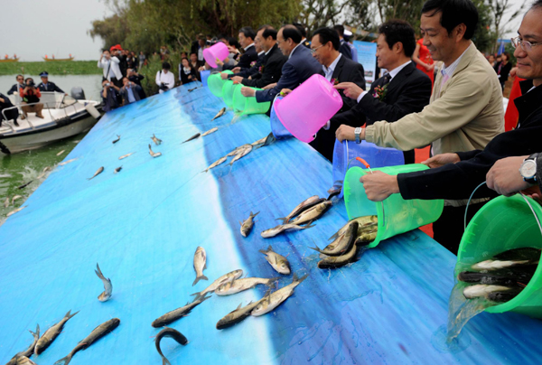 云南放流滇池10余萬尾魚 改善滇池水域生態(tài)環(huán)境