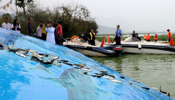 云南放流滇池10余萬(wàn)尾魚(yú) 改善滇池水域生態(tài)環(huán)境