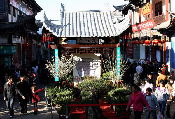 通海:“迎春花街”開街