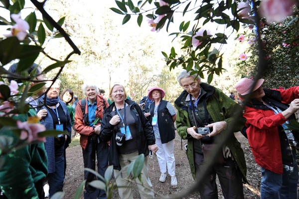 國際茶花協(xié)會代表參觀昆明植物茶花園