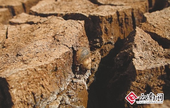 四大原因致云南省持續(xù)干旱 抗旱形勢嚴峻