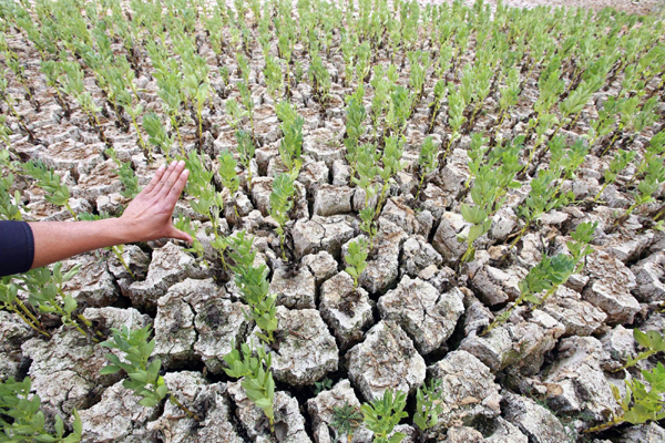 氣象局專家：云南旱情仍將持續