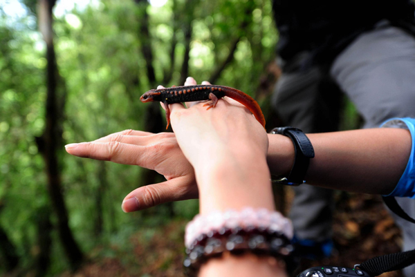 影像在天地 至樂寄山林:體驗中國野生動物攝影訓練營