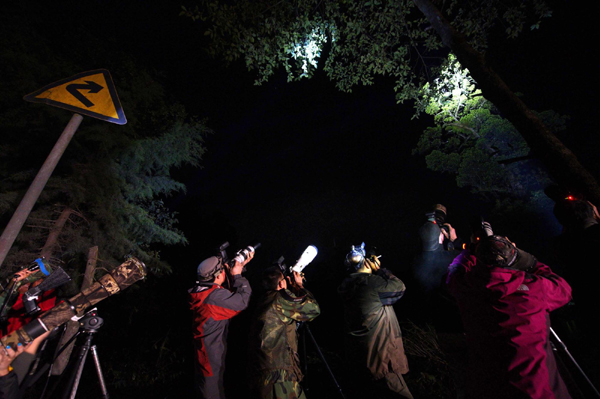 影像在天地 至樂寄山林:體驗中國野生動物攝影訓練營