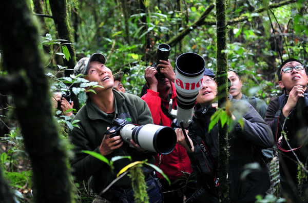 影像在天地 至樂寄山林:體驗中國野生動物攝影訓練營
