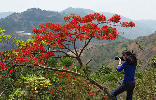 影像在天地 至樂寄山林：體驗(yàn)中國野生動物攝影訓(xùn)練營