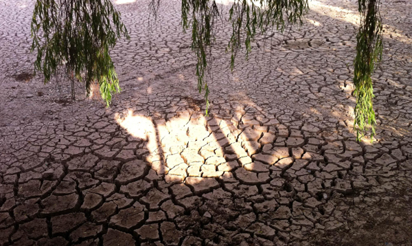 云南麗江持續干旱 景區黑龍潭干涸見底