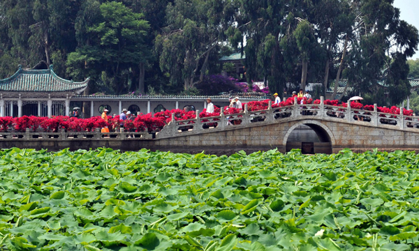 涼爽“春城” 歡樂(lè)旅游