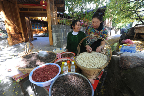 云南極邊第一城:銀杏致富銀杏村