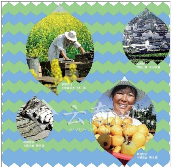 云南如何建設(shè)美麗鄉(xiāng)村？ 將打高原特色農(nóng)業(yè)牌