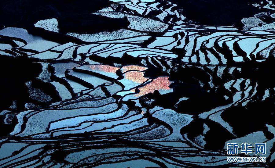 云南紅河哈尼梯田：陽春三月賞梯田神韻