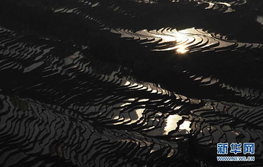 云南紅河哈尼梯田：陽春三月賞梯田神韻