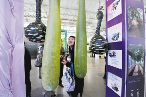 阿里巴巴愿與云南共建展銷平臺