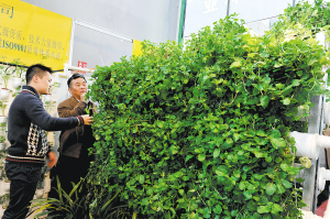 阿里巴巴愿與云南共建展銷平臺