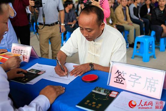 云南在全國率先頒發《林木木權證》(圖)