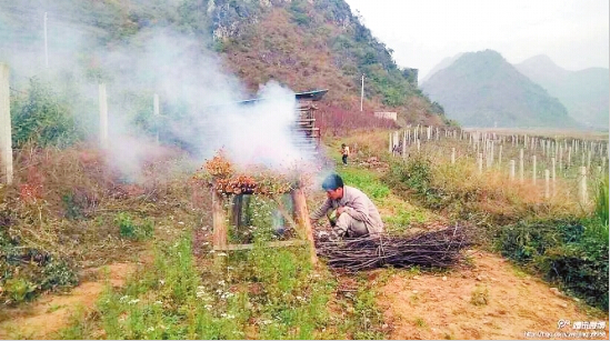 云南女孩患地中海貧血 父親自學本草綱目煙熏治療