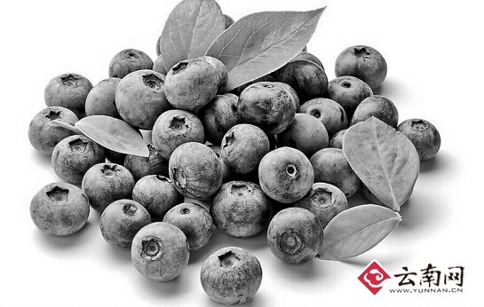 云南電商分享摸爬滾打經(jīng)驗(yàn)