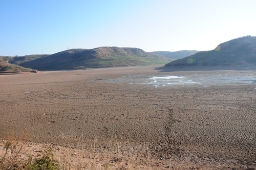 云南石林干旱持續加劇 政府多措并舉抗旱救災