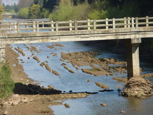 云南省尋甸縣干旱嚴重 境內牛欄江河道多處見底