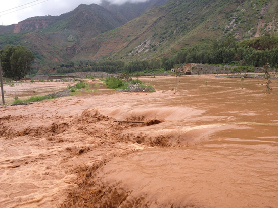 洪水致昆明東川200萬元苗木受損