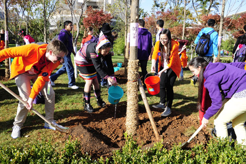 云南:中外學(xué)子共植友誼林