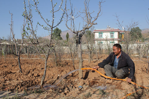 干旱致昆明東川區農作物損失500余萬