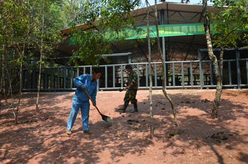 兩頭犀牛首次散放