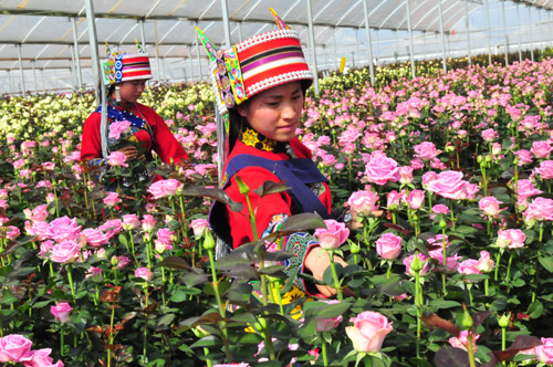 昆明產業蓄勢待發