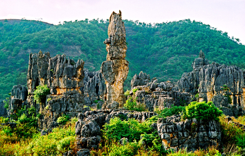 云南人60元游乃古石林