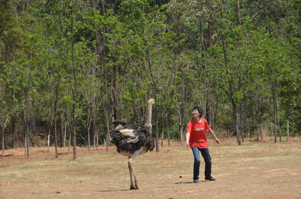 云南野生動(dòng)物園玩轉(zhuǎn)五一