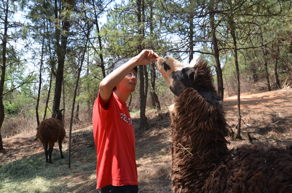 云南野生動(dòng)物園玩轉(zhuǎn)五一