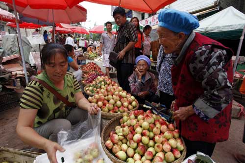 云南巧家桃李高價(jià)上市