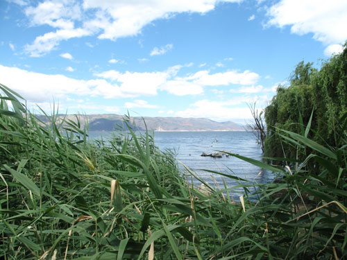 全國(guó)網(wǎng)媒記者采訪洱海湖濱新村——白族聚居村落古生村