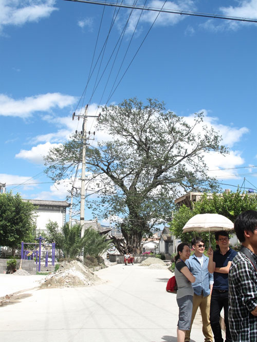 全國(guó)網(wǎng)媒記者采訪洱海湖濱新村——白族聚居村落古生村