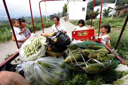 云南巧家農民郭從順開流動蔬菜車進村方便農村群眾