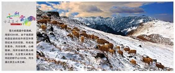 東川首發紅土地個性化郵折