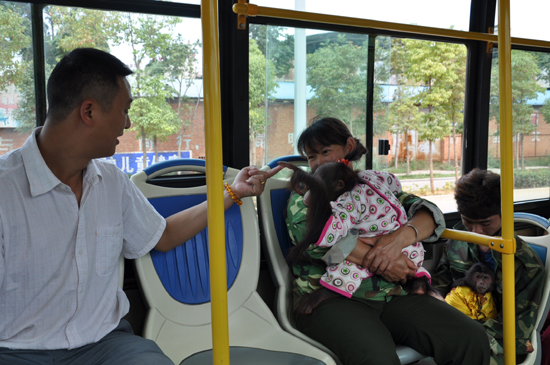 公交新線試運行 動物寶寶萌翻全場