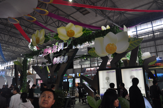 湄公河旅游 發起“綠色旅游”