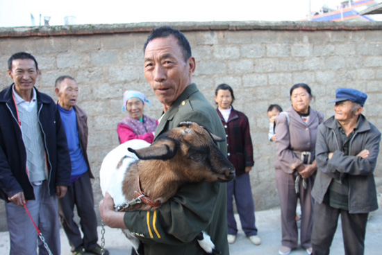 東川驚現(xiàn)四角羊 通人性為伴喂食