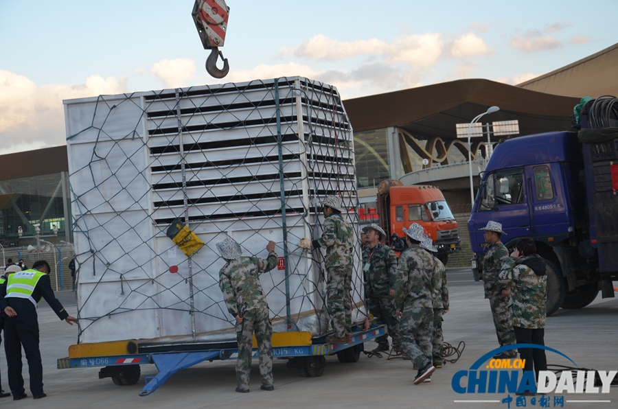 23位南非“高富帥” 昨日長水機場落地